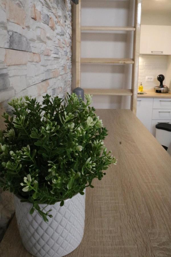 Studio Apartman Chiara Zagreb Buitenkant foto